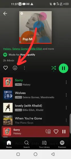 How to Mark Playlists for Offline Sync